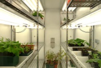 Поставка климатической камеры роста растений "WALK-IN" FITOCLIMA 23.000