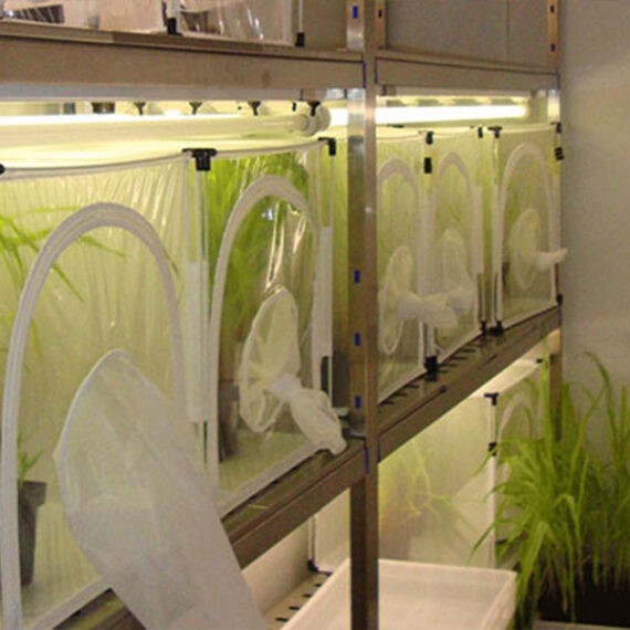 Оптимизация применений камер роста растений 